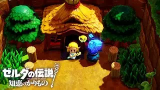 圧倒的探索力で『力のかけら150個』を集めてしまう名誉教授【ゼルダの伝説 知恵のかりもの】#26