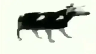ПОЛЬСКАЯ КОРОВА ТАНЦУЕТ...