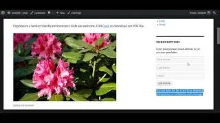 WordPress Plugin Example, WPNewsman