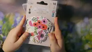 Ein kleiner Tedi Haul
