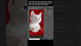 Perfect Hair and Fur Selection with Photoshop