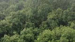 full rain 🌧️🌦️🌦️🌧️🌧️🌦️☔ తిరుపతి