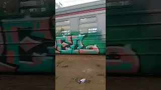 ЭД4М-0308 С сообщением "Купавна-Лесной Городок"
