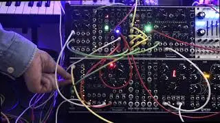 Erica Synths -PICO VOICE with friends from Black Series