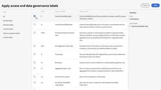 Govern Customer Data with Real-Time CDP | Adobe for Business