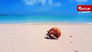 Za toto všetko si každý z nás zaslúži bezstarostnú dovolenku