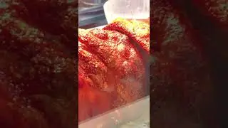 Pork lechon belly #shorts #porklechon #porkbelly