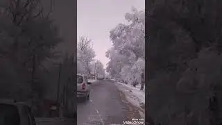 Джаны -Пахта    #чуй #бишкек #сокулук #чуй