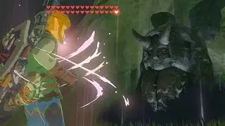 How to Duplicate Hearts and Stamina - Zelda BOTW