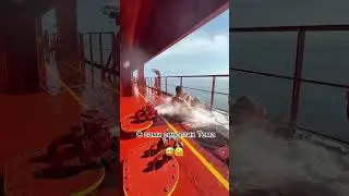 Как моряки купаются посреди океана