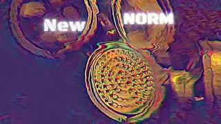 New norm