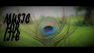 Happy Village Life/GOOD TO LISTEN/MIND REFRESH!!