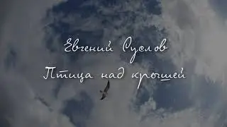 Евгений Суслов - Птица над крышей