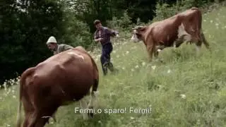 ENCLAVE Trailer Ufficiale