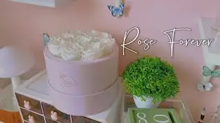 Rose Forever | Unboxing 💮Mother's Day Gift🩷