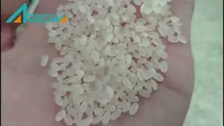 Fortified rice kernel 900 1200kgph line