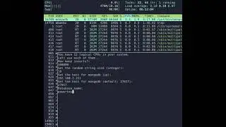 Multiprocessor insertion into mongoDB with python