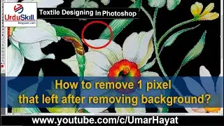 How to remove ONE PIXEL that left with image after removing background?