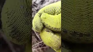 копеечку в зачёт 