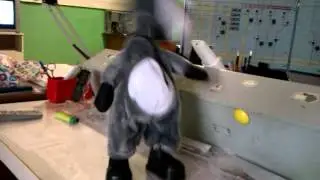Игрушка