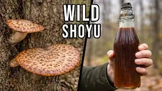 Homemade Soy Sauce?  YES WE DID! (Wild Shoyu)