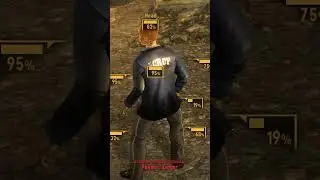 Fallout Gunslinger 