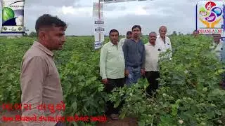 ધનલક્ષ્મી એડવાન્સ 100 દિવસે બાબરા તાલુકામાં