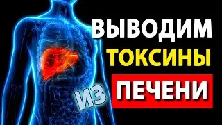 ✔️ Быстрая ОЧИСТКА ПЕЧЕНИ и ВЫВОД ТОКСИНОВ