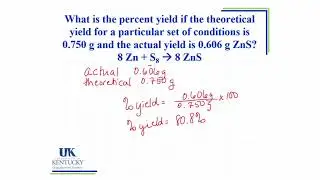 5 1 Theoretical and Percent Yields Lecture New