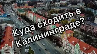 Куда сходить в Калининграде/Königsberg. Где выпить вкусного пива в Калининграде.
