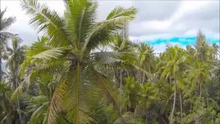 Tahiti Island Sup Georges Cronsteadt