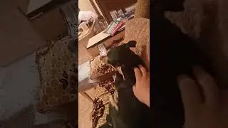 Когда я приехал в Иркутск