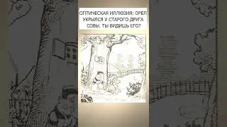 Найди на картинке орла