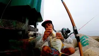 Fishing Drag Here Boss Full of Sultan Fish || Spot dam green priok