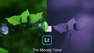 🔴 MOODY PURPLE BY LIGHTROOM