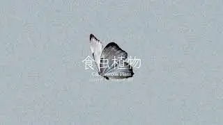食中植物/ Covered by  psyche mio