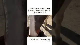 After This Your Horse Will Eat Supplements Without Any Fuss! #shorts