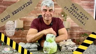 Tudo sobre adubação profissional