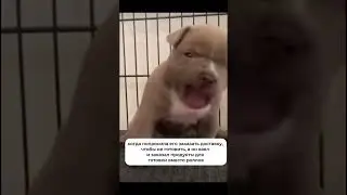 Разочарование года