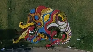 Яскраві барви під музику на фестивалі хризантем в Києві