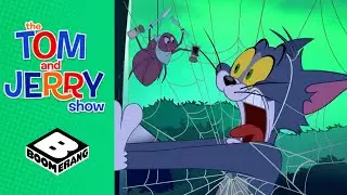 Tom Turns Himself Into a Spider! | Halloween | Tom & Jerry Show | Boomerang UK
