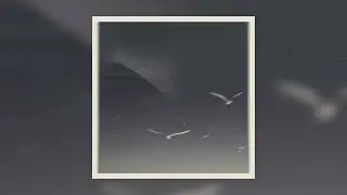 Rosentwig - Vision Quest (Double Single - Official Audio)