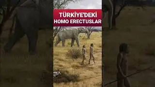 Kocabaş Fosili ve Türkiye'nin Paleoantropolojik Mirası