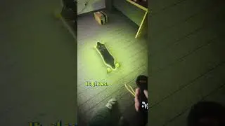 Meepo Envy Glow at Meepo HQ