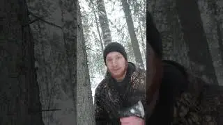 Как оборонять свой лагерь в лесу? 