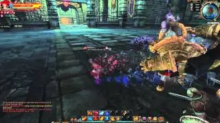 C9 - Valkyrie Fury Formation Ultimate Skill - Infinity Blast