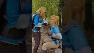 The plot of Legend of Zelda 