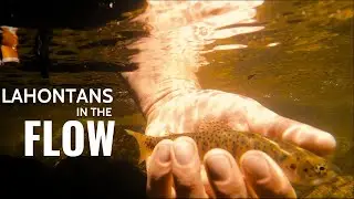 Lahontans In The Flow | Fly Fishing Eastern Sierras | HTM E15