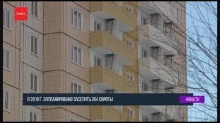 Красноярские сироты не могут получить жильё