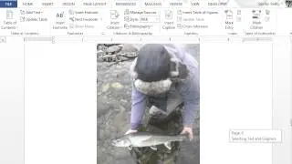 Microsoft Word - Table of Figures (TOF)